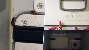 Hygiene Scare: IndiGo Passenger Reveals Cockroaches in Food Section of New Airbus, Airline Responds After Video Goes Viral